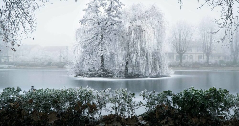 Der Staufener Stadtsee im Winter